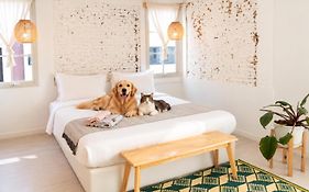 Pet Friendly Luna & Local Oldtown Bangkok